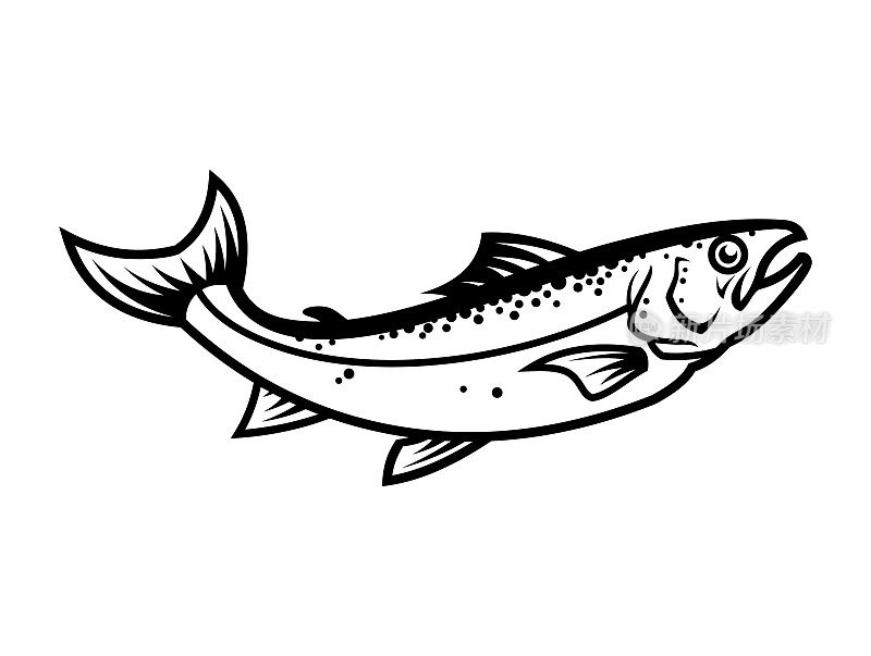 Salmon fish silhouette - cut out vector icon
